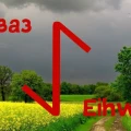 Толкование и значение в гадании руны Эйваз
